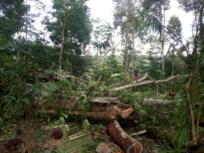 Musibah Angin Kencang Kembali Landa Daerah Wonosobo