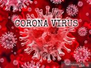 Ternyata Bukan Batuk Kering Gejala Terpapar Covid-19 tapi Anosmia