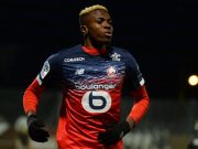 Napoli Yakin Dua Pemain Lille Bakal Jadi Miliknya