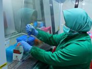 Waspadai Virus Varian Baru, Kemenkes Periksa Sampel Covid-19 Kudus
