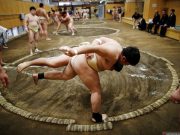 Turnamen Sumo Jepang Akan Kembali Dihadiri Penonton