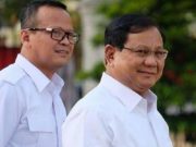 Menteri Kelautan Buka Webinar Bisnis Udang di Demak