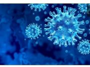 Ratusan Ilmuwan Sebut Virus Corona Mengudara, Desak WHO Meralat Saran