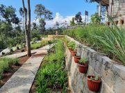 Growong Menuju Desa Wisata Herbal Bersama Unimma