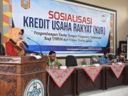 Sosialisasi KUR bagi Pelaku UMKM di Wonosobo, Seperti Apa?