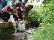 15 Ribu Ikan Ditebar di Sungai Bogowonto, Bakalan Sapuran Wonosobo