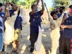 Panitia Penyembelihan Kurban di Sukoharjo Wajib Cek Suhu Badan