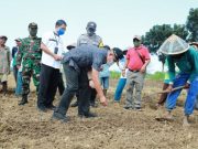 Wakil Bupati Kebumen Dorong Kades Realisasikan Padat Karya Tunai Desa