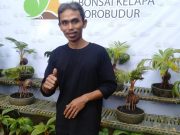 Bonsai Pohon Kelapa Untuk Angkat Harga Jual Buahnya