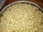 Pengembangan Kopi Luwak Liar Didukung Pemkab Purbalingga