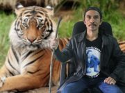 Tuah Akar Mimang, Kayu Bana