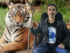 Tuah Akar Mimang, Kayu Bana