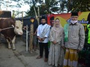 Bantuan Sapi Kurban Presiden Jokowi Diserahkan ke Desa Sirau Purbalingga