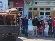 PWI Blora-Pertamina Salurkan Hewan Kurban ke Warga