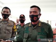Jejak Harimau di Pegunungan Muria Terus Dilacak