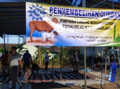 Muhammadiyah Tegalrejo Bagikan Daging Kurban ke Masyarakat