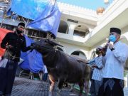 Larangan Kurban Sapi Masih Ditaati Warga Kudus