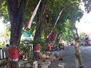 Kanstin Ditata dan Dirapikan, Kota Purwodadi Diharapkan Semakin Indah