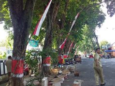 Kanstin Ditata dan Dirapikan, Kota Purwodadi Diharapkan Semakin Indah