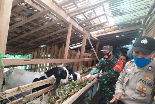 Bripka Nyamat Bersama Serma Sutoyo Sambangi Peternak Kambing