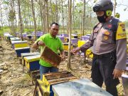 Bripka Kholik Sambangi Peternak Lebah di Kelurahan Sonorejo