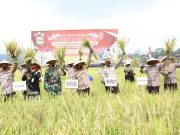 Kapolda Jateng Baksos dan Panen Raya Padi di Kabupaten Batang