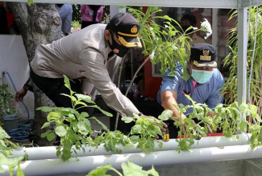 Hendi Dorong Urban Farming Tanaman Pangan di Kota Semarang