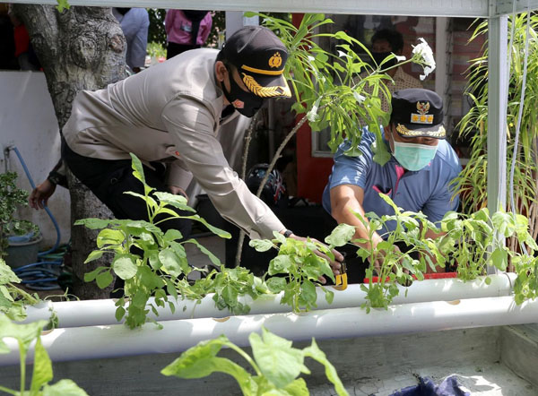 Hendi Dorong Urban Farming Tanaman Pangan Di Kota Semarang Suara Baru Portal Berita Masa Kini