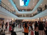 Ikan Paus Ini Mati Gara- Gara Diserbu Warga