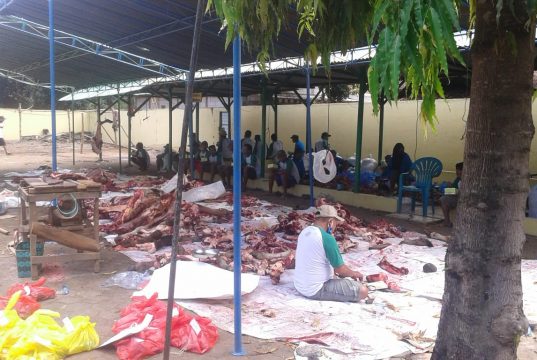 Idul Adha di Jepara : Khidmat Meski di Tengah Pandemi