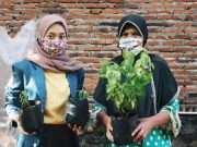 KKN Pulang Kampung Kembangkan Tanaman Obat