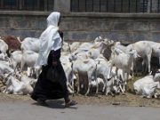 Pengabdian Perempuan dan Makna Qurban di Balik Indahnya Mendung Kelabu