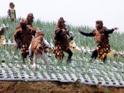 Masa Pandemi, Festival 5 Gunung Tanpa Penonton dari Luar Negeri