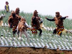 Masa Pandemi, Festival 5 Gunung Tanpa Penonton dari Luar Negeri
