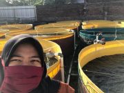 Dwi Kristinawati, Mengisi Masa Pandemi dengan Ternak Lele
