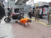 Legislator Pernah Sarankan Penangguhan Bantuan untuk Pelanggar PSBB