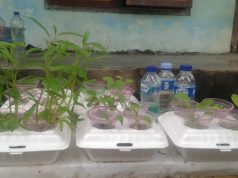 Mahasiswa KKN Undip Sulap Limbah Styrofoam dan Cangkang Telur Jadi Duit