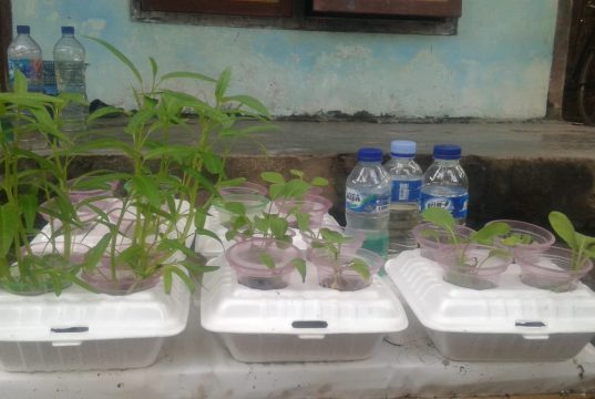 Mahasiswa KKN Undip Sulap Limbah Styrofoam dan Cangkang Telur Jadi Duit