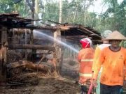 Di Wonogiri, Api Pembakaran Sampah Meludeskan Kandang Sapi