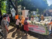 Beli Sayuran Langsung dari Petani, Dibagi Gratis ke Kaum Dhuafa