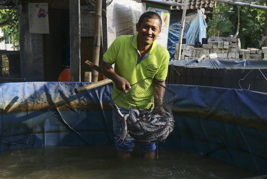 Bantu UMKM Klaster Perikanan Untuk Berkembang, SIG Berikan Bantuan Modal dan Pendampingan