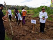 Petani Gunung Kidul Diimbau Siap Masuki Masa Tanam Padi