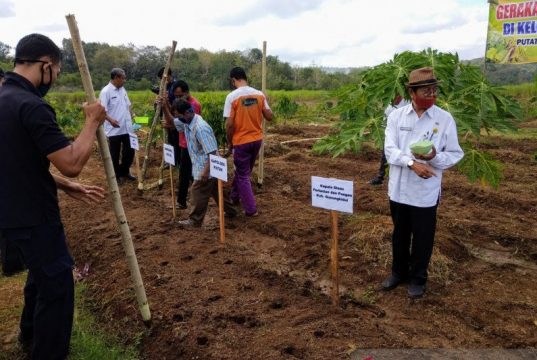 Petani Gunung Kidul Diimbau Siap Masuki Masa Tanam Padi