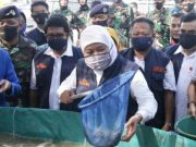 Ekspor Udang Jawa Timur Meningkat