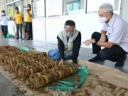 Jateng Kucurkan Rp 10 Miliar untuk Pertanian dan Perikanan