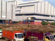 Kerjasama Dengan Perhutani Ngambang, PT GMM Gandeng Petani Blora