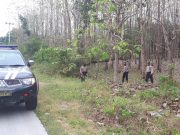 Polsek Randublatung Patroli Hutan Antisipasi Karhutla