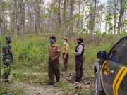 Aparat Gabungan di Blora Patroli Hutan Negara Cegah Karhutla