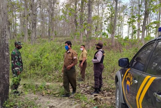 Aparat Gabungan di Blora Patroli Hutan Negara Cegah Karhutla