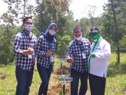 Bank Jateng Dukung Program Tanam 5.000 Pohon Kopi di Hutan Girimulyo